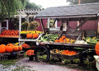Pumpkin Carving, Apple Picking, Wine Tours And Spooky Ghost Walks: It Feels Like Fall In The Hamptons