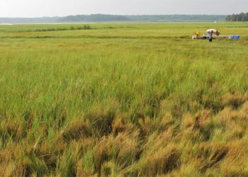 Upcoming Programs At Parrish Art Museum Focus On East End Ecological Issues