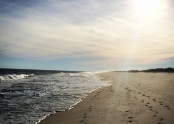 “Growing Risks And Misguided Policy” Plagues Long Island’s Water Supplies