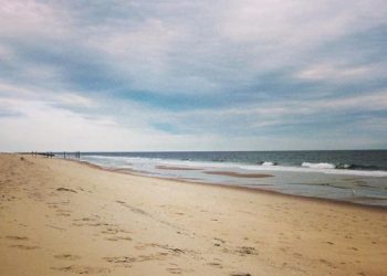 Run For East End Education During Third Annual Run For Ross 5K Run/Walk