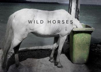 The Box Collective’s “Wild Horses” To Debut In The Hamptons