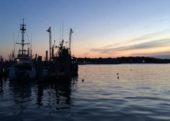 Plastic Bag Ban May Soon Come To Several Hamptons Towns