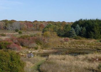 Hamptons Natural History Museum And Nature Center Receives Funding For Educational Program From Anonymous Donor