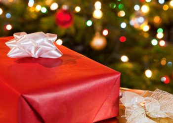 South Fork Natural History Museum And Nature Center Hosting First Annual Holiday Toy Drive