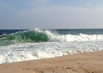 Councilwoman Christine P. Scalera Holding 2015 Great East End Clean-Up