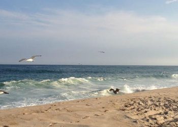 Hamptons Youth Bureau Pays Homage To Southampton Town’s 375th Anniversary During Student Photography Contest