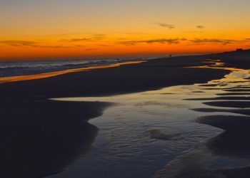 East End Artists Showcased During Southampton Artists Association’s Spring Show