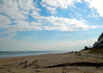 2nd Annual Shoreline Sweep Hamptons Beach Cleanup Is This Weekend