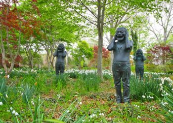 Local Photographer Sharing Tips And Secrets During Scenic Hamptons Workshop