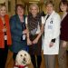 Southampton Hospital Looks To Expand Angel On A Leash Dog Therapy Program