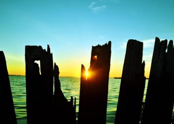 Southampton Artists Association Hosting Annual Memorial Day Weekend Exhibit