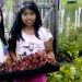 East End After-School Educational Program Holding Benefit Plant Sale