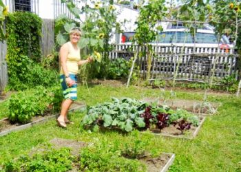 Small Hamptons Garden To Open Its Gates To The Public This Summer