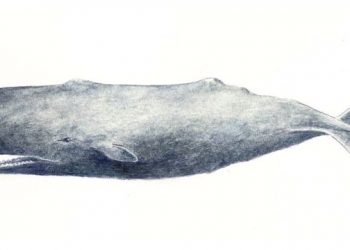 “Moby Dick” Marathon Returns To Sag Harbor