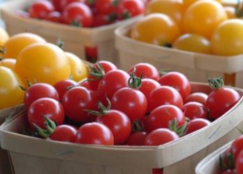 Montauk Farmers Market Returns To “The End”