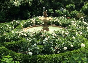 Animal Rescue Fund Of The Hamptons Hosting 29th Annual Garden Tour