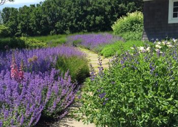 Hamptons Landscape Pleasures Shows Off Award-Worthy East End Properties