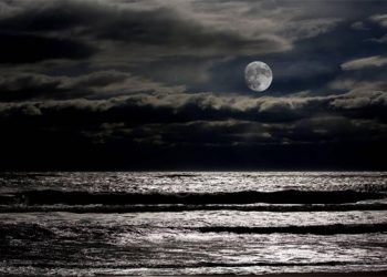 Our Top Five ArtHamptons Happenings