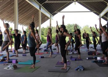 Find Your Inner Zen With Yoga And Meditation Sessions At The Parrish