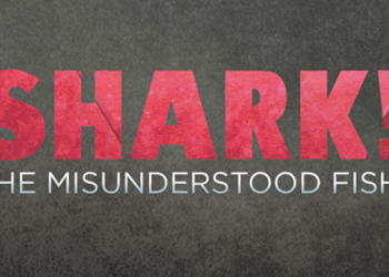 Hamptons Whaling Museum Commemorates 40th Anniversary Of “Jaws”