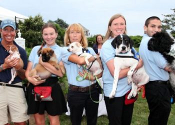 Southampton Animal Shelter Foundation Holding Great Gatsby Themed Summer Soiree