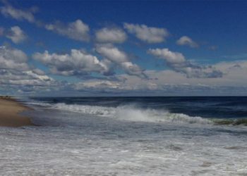 LIMPIA Holding Hamptons Kickoff For Marine Purification Initiative