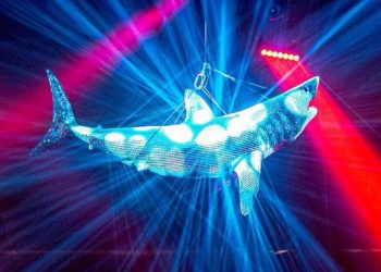 Hamptons Disco Shark Raising Funds For Oceana And Shark Team One