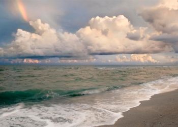 Local And Worldwide Artists Showcased At 21st Annual Montauk Show On The Green