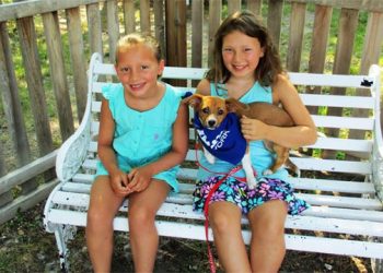 Southampton Animal Shelter Foundation Takes Part In NBC’s Clear The Shelters