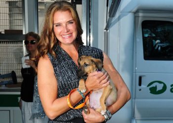 Brooke Shields Emcees Animal Rescue Fund Of The Hamptons’ Bow Wow Meow Ball