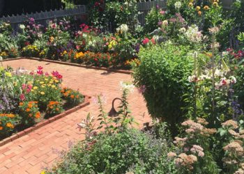 Guild Hall’s Garden As Art Tour Explores Farm To Table In The Hamptons