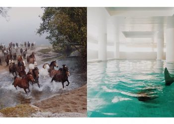 #mytinyatlasmontauk Contest Culminates With Launch Party In Montauk