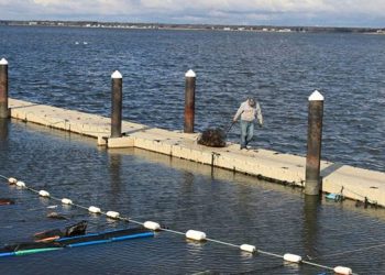 Back To The Bays Fundraiser Supports Local Marine Program