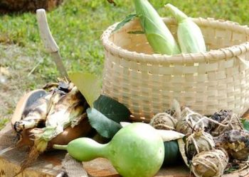 Sylvester Manor To Honor The Three Sisters