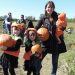 Cornell Cooperative Extension Of Suffolk County Celebrating Autumn During Annual PumpkinFest Event