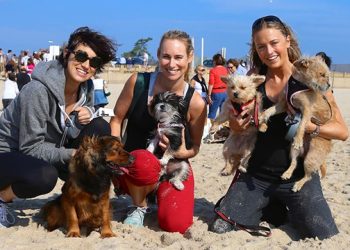 Hamptons “Stroll To The Sea” Supports Local Animal Shelter