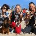 Hamptons “Stroll To The Sea” Supports Local Animal Shelter