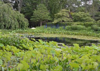 Dan Hinkley And Elizabeth Scholtz To Be Honored During Hamptons Landscape Awards Luncheon