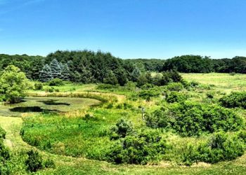 Long Pond Greenbelt East End Event To Celebrate Nature-Themed Hamptons Happenings