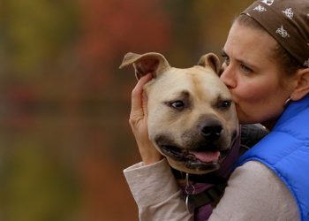 INTERVIEW: “The Champions” Director Darcy Dennett On Animal Welfare In Today’s Society And An Amazing Transformation