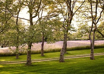 “One Place, Two Decades:” The 20-Year Evolution Of East Hampton’s Hither