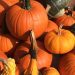 Fall Favorites: Learn How To Make Homemade Pumpkin Butter At This East End Workshop