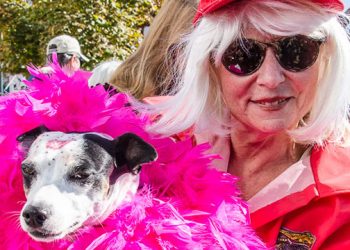 Record Breaking Crowd Turns Out For Annual Pet Friendly Hamptons Halloween Parade