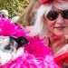 Record Breaking Crowd Turns Out For Annual Pet Friendly Hamptons Halloween Parade