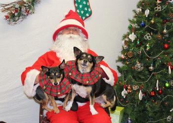 East End-Based Animal Shelter Hosting Family Photo Op With Kris Kringle