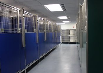 Hamptons Animal Shelter Completes Medical Wing Transport Center