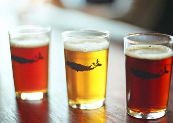 North Fork Brewery Hosting Boxing Day Beer Tasting