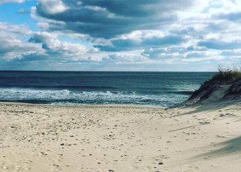 How Do Hamptons Real Estate Brokers See The Market In 2016?