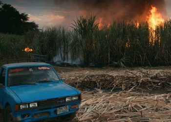 Hamptons Museum Presenting Regional Debut Of Climate Change Film