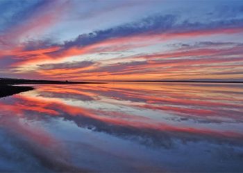 Southampton Artists Association Hosting Winter Art Show